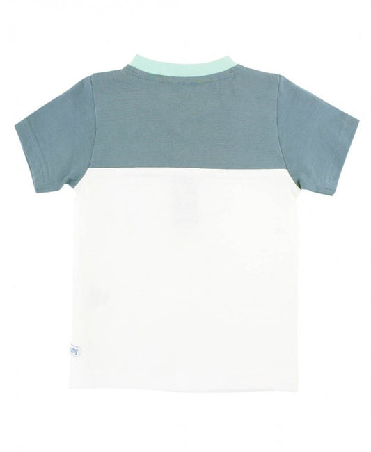 RuggedButts Dolphin Blue Color Block Henley Tee